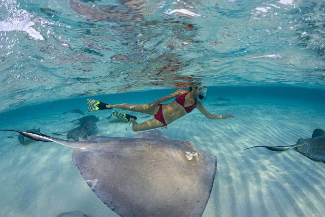 Caymankind. Caymankind.